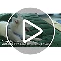 3-Piece Reversible Green Queen Comforter Set - Soft Microfiber Bedding