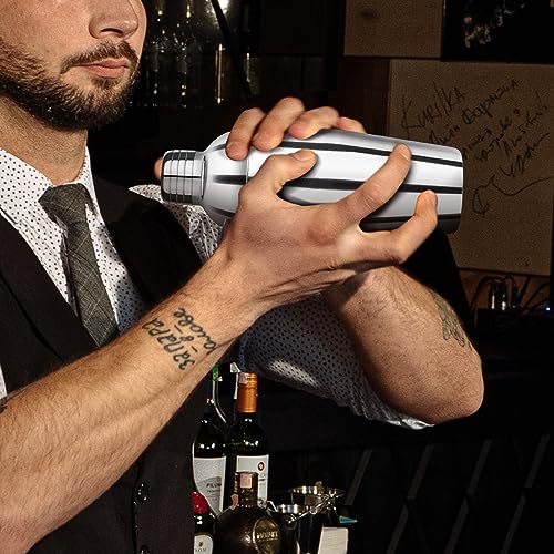 Ohtomber Silver 24oz Stainless Steel Cocktail Shaker Set Bar Bartender Kit