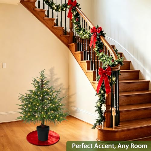 3 ft Pre-Lit Norfolk Pine Christmas Tree with 70 Warm LEDs, No Mess Premium PE