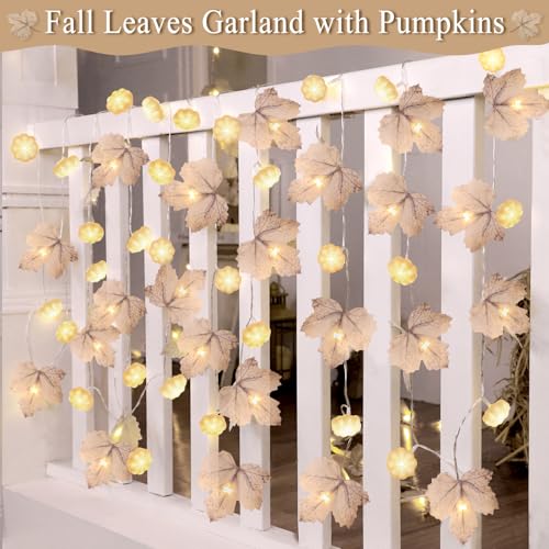 LED Fall Garland with 3D Pumpkin Lights - 2 Pack 20FT Thanksgiving Decor