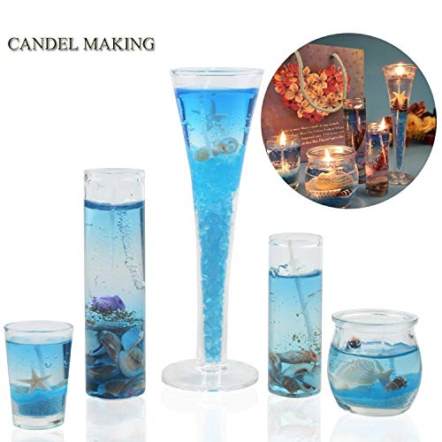 Natural Mixed Sea Shells and Starfish Set for Crafts, Vase Filler & Beach Decor