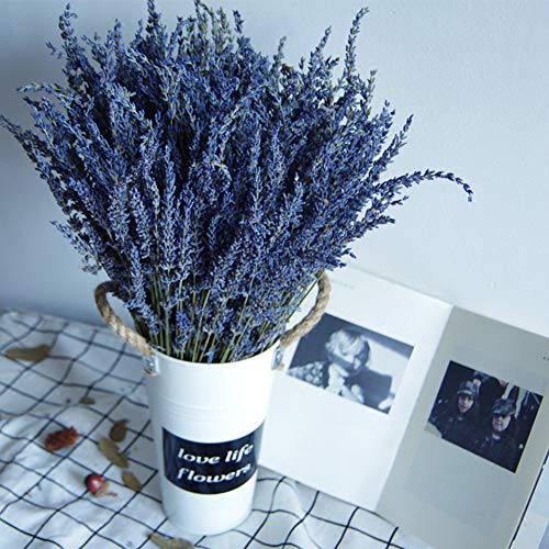 Natural Dried Lavender Bouquet (200+ Stems, 16-18 Inch) for Home Decor