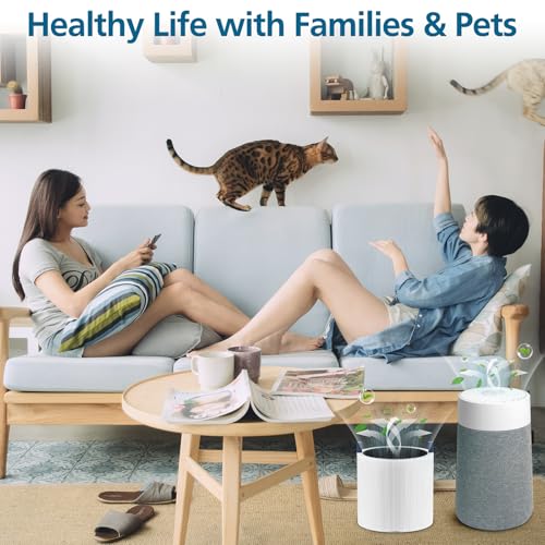 Replacement Air Purifier Filter True HEPA and Activated Carbon 2 Pack