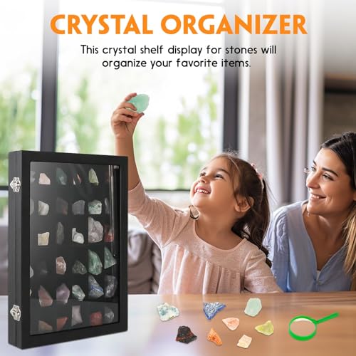 Rock Collection Display Case with 36 Adjustable Grids and Transparent Lid