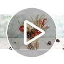Silvery 12-Inch Tabletop Christmas Tree with Lights - Mini Holiday Decor