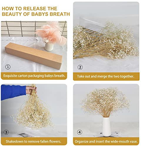 Natural Dried Baby's Breath Flowers Bouquet, 16-17 Inch Gypsophila Bundle