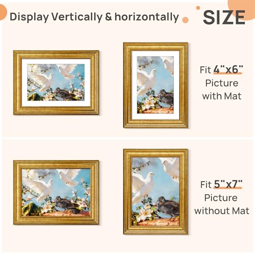 Vintage Gold 5x7 Picture Frame for Tabletop & Wall Display (Fits 4x6)