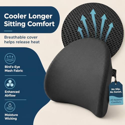 Lumbar Support Pillow for Office Chair & Car Seat - Memory Foam