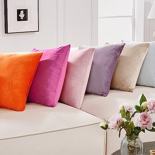 Deconovo Decorative Velvet Throw Pillow Covers for Sofa Couch 20x20 in, Fall Soft Square Cushion Cases for Living Room Decor Bedroom, Set of 2, Orange