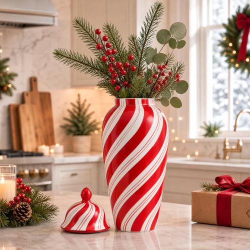 Tiangrid 18'' Large Red Christmas Candy Ginger Jar with Lid - Holiday Decor