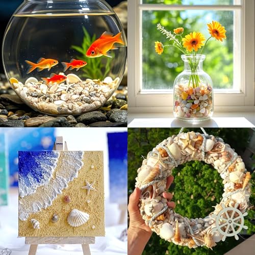 Natural Mixed Mini Sea Shells & Starfish for DIY Crafts & Beach Decor