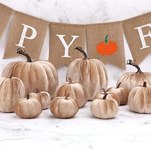8 Pcs Assorted Velvet Artificial Pumpkins, Champagne Fall Harvest Decor