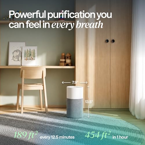 Compact HEPA Air Purifier for Home, Allergies, Pets and Dust