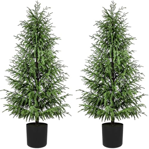ENVEN 5FT Artificial Norfolk Pine Christmas Tree - 2 Pack, Unlit, Real-Touch PE, Pet & Family Friendly, Black Pot, Indoor Outdoor Decor
