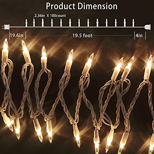 HISHINY Christmas Lights 100 Count Clear Mini String Lights 21ft White Wire