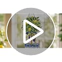 Chinoiserie Lemon Tree Wooden Door Hanger - Large Summer Front Door Decor