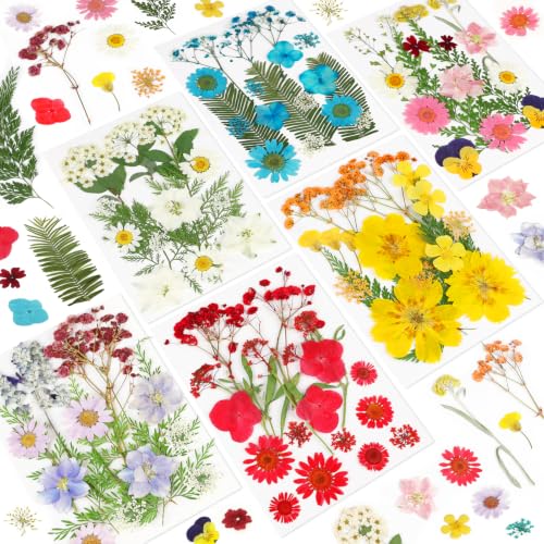 103 Pcs Real Dried Pressed Flowers Set for Resin Molds, Candles & Crafts