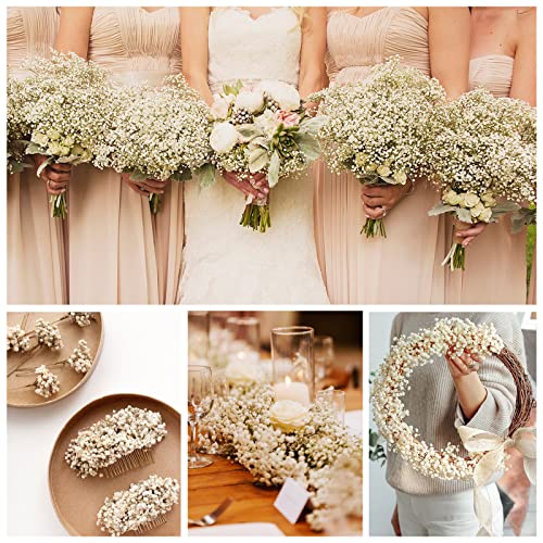 Natural Dried Baby's Breath Flowers Bouquet, 16-17 Inch Gypsophila Bundle