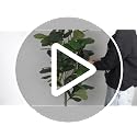 6FT Fiddle Leaf Fig Artificial Tree with White Planter - Indoor/Outdoor Faux Plant