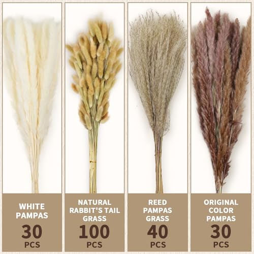 200-Piece Dried Pampas Grass Bouquet - Natural Boho Floral Home Decor