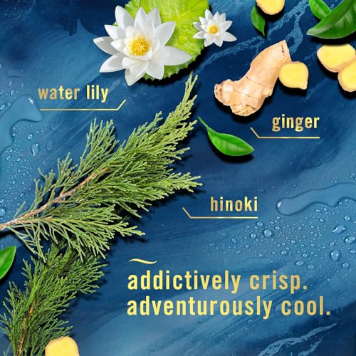 Scented Oil Plug-In Air Freshener Refills - Ocean Scent, 3 Count (0.87 oz)