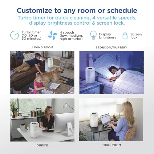Medium Room Turbo Air Purifier with True HEPA Filter for Home