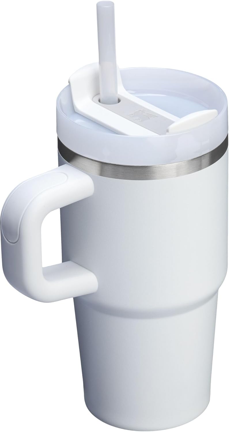 STANLEY Quencher H2.0 Tumbler - 20 oz Insulated Stainless Steel Cup with Handle & Straw | BPA-Free | Frost