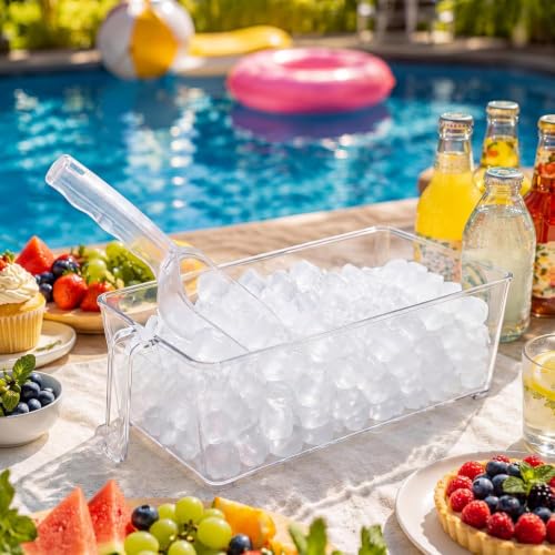 Clear Plastic Ice Storage Bin for Freezer with Lid and Scoop (12.4 Inch)
