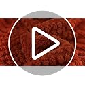 Lussena Rust Fleece Throw Blanket - 50x60 Soft Cozy Aesthetic Boho Blanket