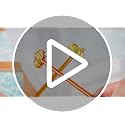 SiliFine Pumpkin Glass Drink Stirrers 12 pcs Fall Swizzle Sticks for Autumn Parties