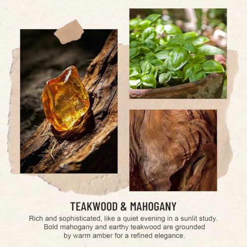 Teakwood & Mahogany Reed Diffuser Set - 2 Pack 8oz Home Fragrance