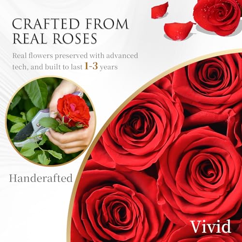 27 Preserved Roses in a Box - Long-Lasting Everlasting Flower Gift