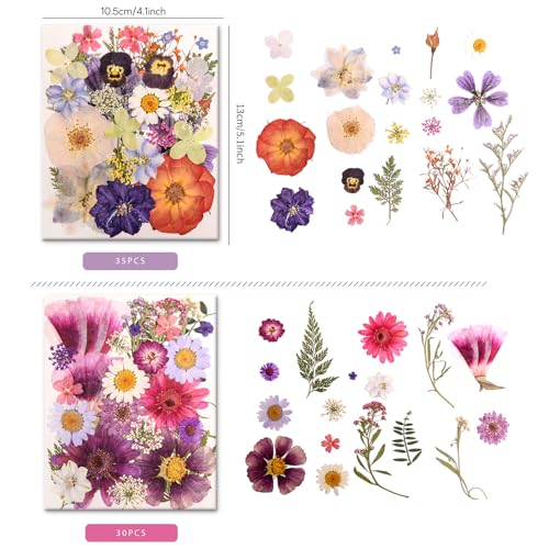 182 PCS Real Pressed Dried Flowers and Leaves Set with Tweezers for DIY Crafts