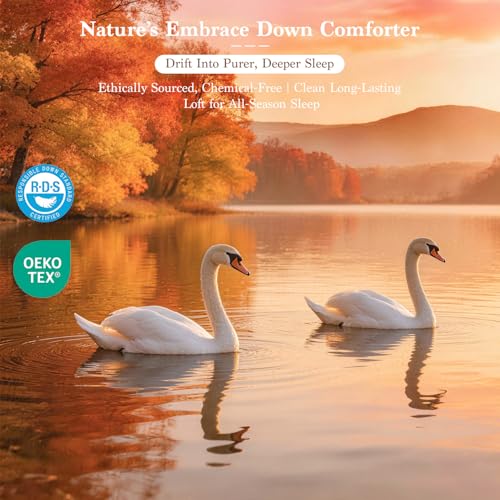 Queen Goose Down Comforter, 850 Fill Power, 600 TC Cotton Cover