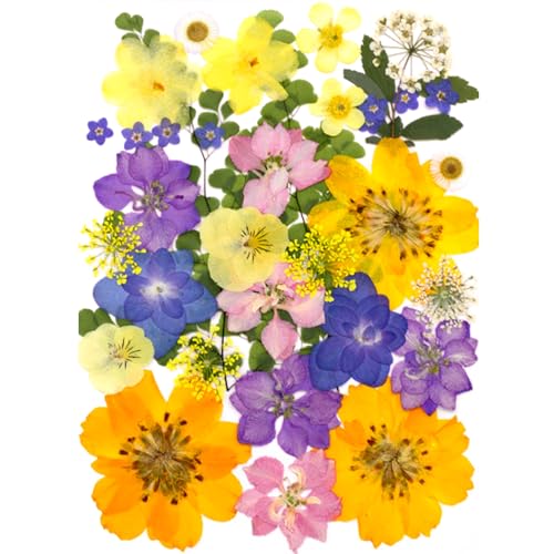 34Pcs Real Pressed Dried Flowers and Leaves for Resin Art and DIY Crafts