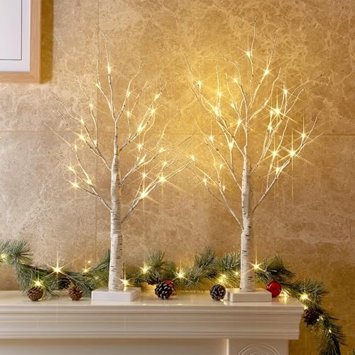 2FT Lighted Birch Tree Lamp with Warm White LED Lights & Timer (2 Pack)