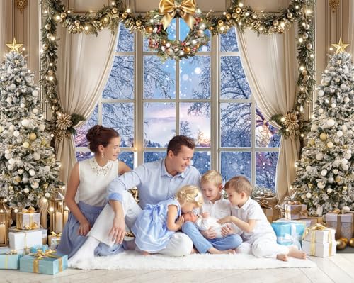 JSHENGZHYI 10x8FT Christmas Window Backdrop White Winter Snow Forest Scene Photo Background