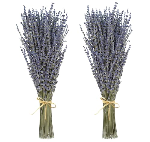 Natural Dried Lavender Flower Bundles (200-220 Stems) - 15-17" Decor