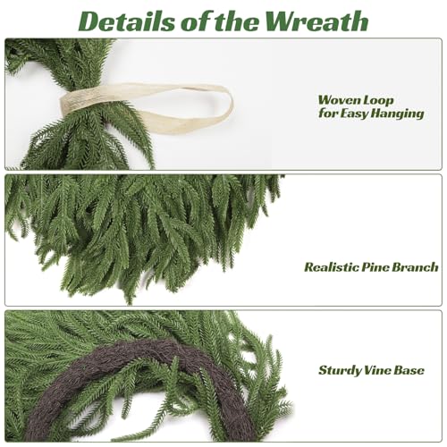 24-Inch Norfolk Pine Artificial Wreath for Front Door, Real Touch Faux Greenery