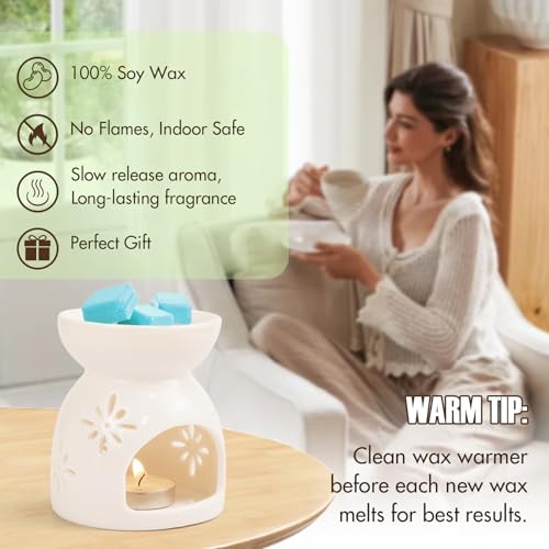 Natural Scented Soy Wax Melts - 4 Pack Summer Fragrance Cubes for Warmers