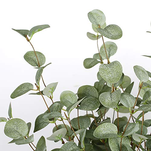 Artificial Eucalyptus Stems 27 Inch - 6 Pack Greenery Branches for Home Decor