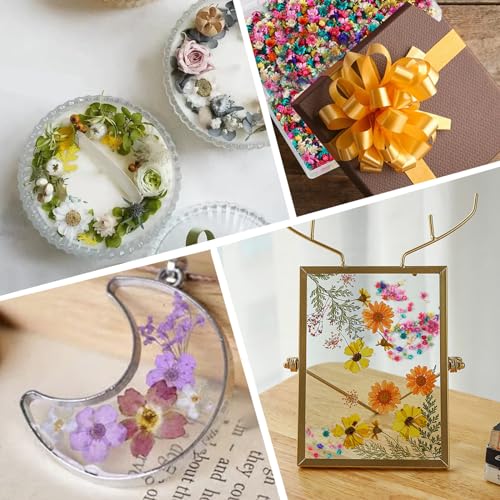 520 Pcs Mini Dried Flowers for Resin Crafts, Jewelry & Soap Making