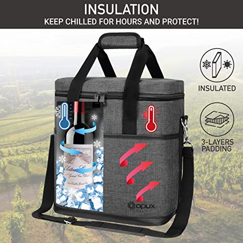 6-Bottle Insulated Wine Carrier Bag - Padded Leakproof Travel Tote