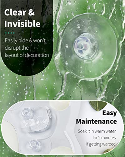 Pawfly 1.8 in 10pcs Suction Cups - Small Transparent Rubber Hooks for Window, Mirror, Kitchen