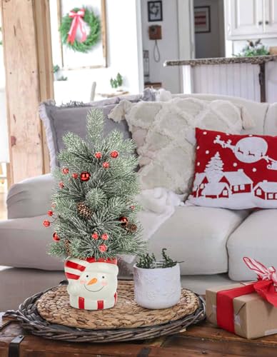Hollyone Style 3 16.5in Christmas Potted Snowman Tree with Vase - Mini Desk Deco