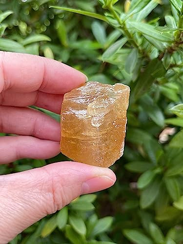 Honey Calcite Rough Natural Stones, 3 Piece Raw Crystal Specimen Set (1-2")