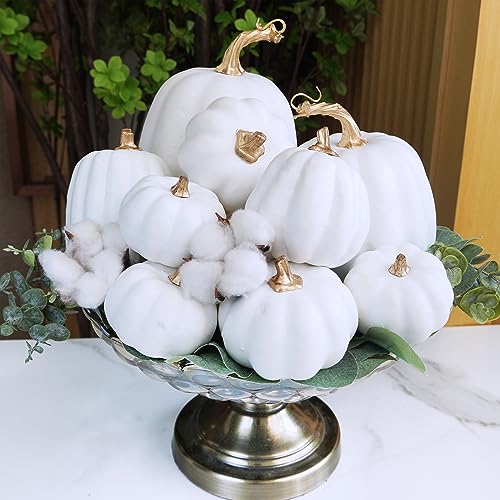 10 Pcs Assorted Artificial White Foam Pumpkins for Fall Home Decor