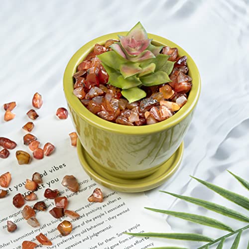 Natural Carnelian Crystal Chips - 1/2 lb Polished Gemstone Rocks for Decor