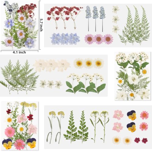 103 Pcs Real Dried Pressed Flowers Set for Resin Molds, Candles & Crafts