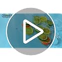 Artificial Lime Wedge Slices - 10 Pcs Decorative Fruit Props